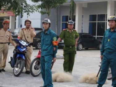 [Image: vietpolice1.jpg]